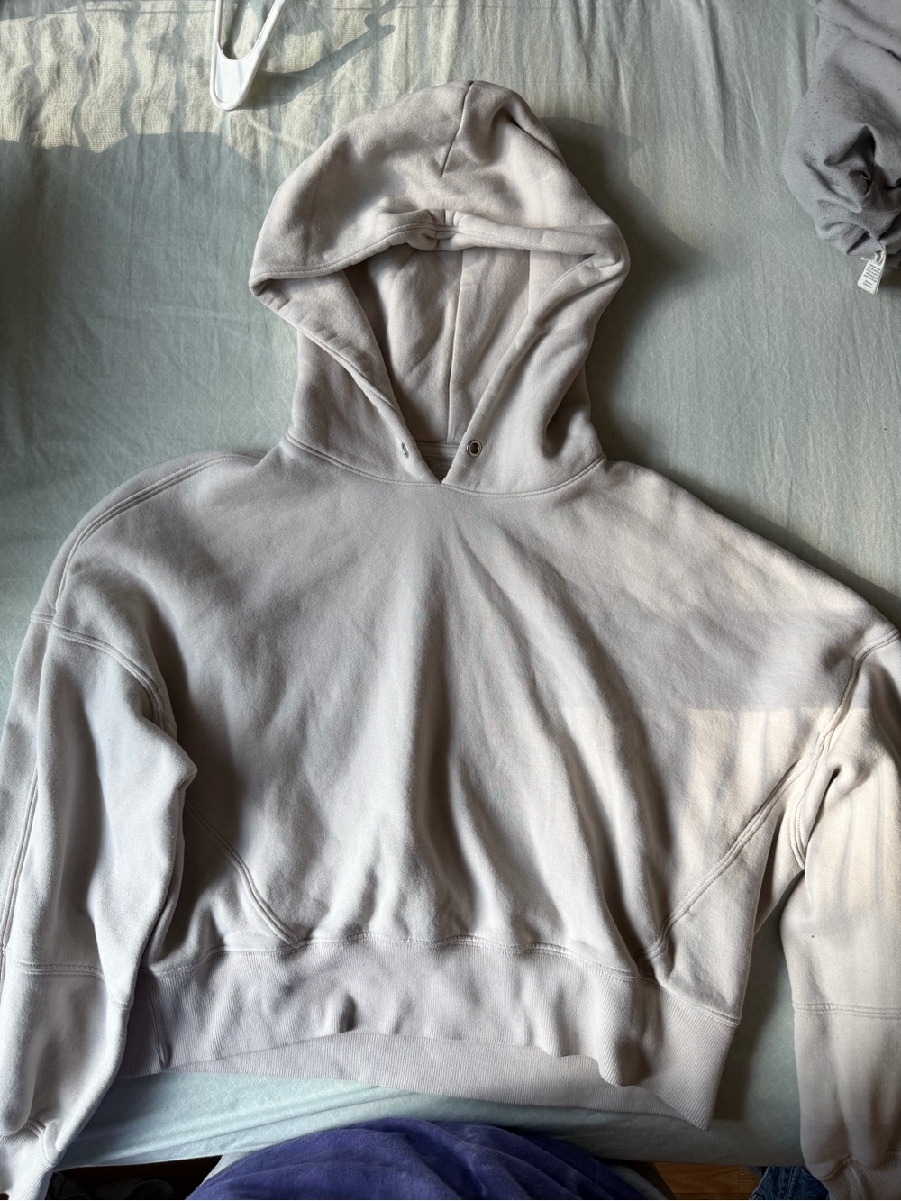 Neutral Light Gray Cozy Hoodie